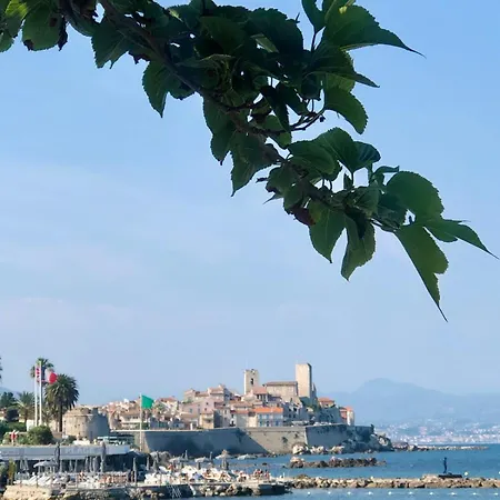 Centre, Lumineux T3 6 Pers Terrasse Wifi Pkg Clim Antibes