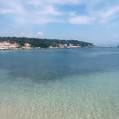 Centre, Lumineux T3 6 Pers Terrasse Wifi Pkg Clim Apartment